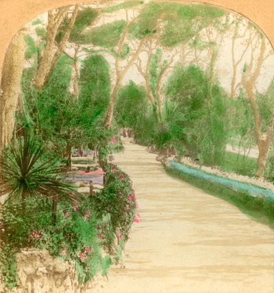 Promenade, Alameda Garden, Gibraltár szikla, 1896. alkotó: Keystone View Company