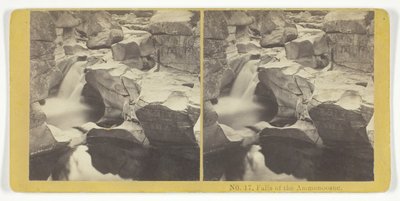 Falls of the Ammonoosuc, 185575. Alkotók: Kilburn Brothers, BW Kilburn. alkotó: Kilburn Brothers, BW Kilburn