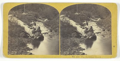 The Babbling Brook, 185575. Alkotók: Kilburn Brothers, BW Kilburn. alkotó: Kilburn Brothers, BW Kilburn