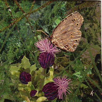 Flit - Satyr Butterfly On Thistle alkotó: Kirstie Adamson