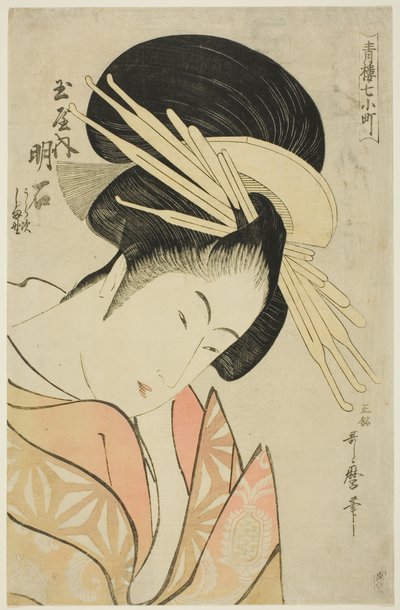 Tamaya bizonyítéka, a Te Serie Seven Komachi s of Yoshiwara-ból (Seiro 7 Komachi) alkotó: Kitagawa Utamaro