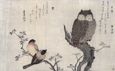 Egy bagoly és két keleti bölömbika, a "Madarak összehasonlítva a humoros dalokban, a 100 és 1000 madár költészeti versenyében" című albumból, 1791 (színes fametszet). alkotó: Kitagawa Utamaro