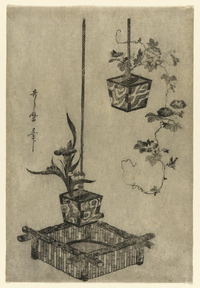 Irises és Morning Glories elrendezései alkotó: Kitagawa Utamaro