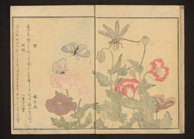 Pillangók és szitakötő mák közelében alkotó: Kitagawa Utamaro