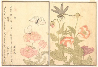  alkotó: Kitagawa Utamaro