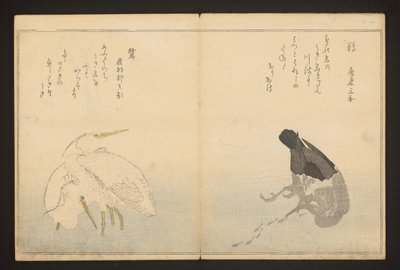 Kormorán és gém alkotó: Kitagawa Utamaro