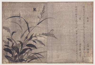 Tücsök és szentjánosbogarak, 1788 (fatégla) alkotó: Kitagawa Utamaro