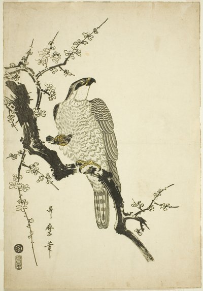 Sólyom szilvaágon alkotó: Kitagawa Utamaro