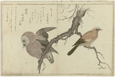 Jay és bagoly alkotó: Kitagawa Utamaro