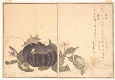  alkotó: Kitagawa Utamaro