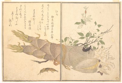  alkotó: Kitagawa Utamaro