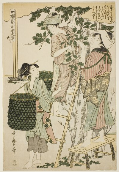 No. 2 (ni), a "Nők, akik részt vesznek a sericulture iparágban (Joshoku kaiko tewaza-gusa)" sorozatból alkotó: Kitagawa Utamaro