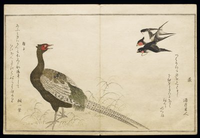 P.332-1946 Vol.1 f.6 Kéményfecskék és zöld fácán pár, a „Madarak a humoros dalokban” című albumból, 1791 (színes fatömbnyomat) alkotó: Kitagawa Utamaro