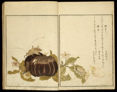 Képeskönyv: (Ehon mushi erabi) alkotó: Kitagawa Utamaro