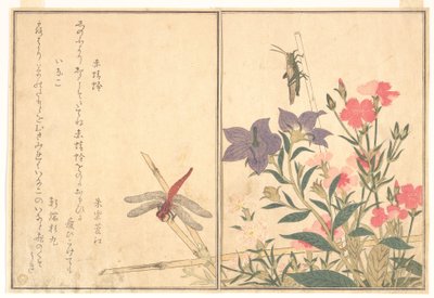 Vörös szitakötő (Akatonbo); sáska (Inago), a „Kúszó lények képeskönyve” (Ehon mushi erami) című műből alkotó: Kitagawa Utamaro