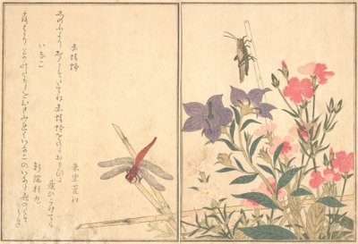 Red Dragonfly Akatonbo, Locust Inago..., 1788. alkotó: Kitagawa Utamaro