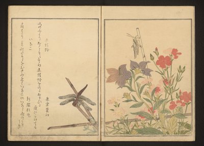 Piros szitakötő és sáska rózsaszínekkel alkotó: Kitagawa Utamaro