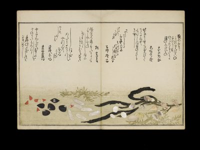 Shiohi no tsuto (Ajándékok az Ebb-dagályból), Shell Book néven ismert, 1789 (színes fatömbnyomat) alkotó: Kitagawa Utamaro