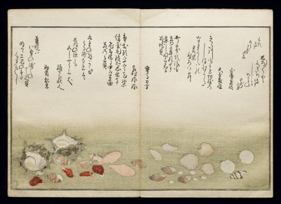 Shiohi no tsuto (Ajándékok az Ebb-dagályból), Shell Book néven ismert, 1789 (színes fatömbnyomat) alkotó: Kitagawa Utamaro