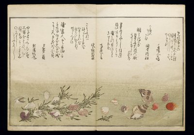 Shiohi no tsuto (Ajándékok az Ebb-dagályból), Shell Book néven ismert, 1789 (színes fatömbnyomat) alkotó: Kitagawa Utamaro