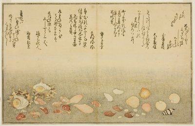 Fehér kívül, ráncok a felszínen, Maclar Street, Yellow Street, Other Street, Sadaei, from tee st latte d book o k "Technique fts from tee eh b on the ground (bracts of the sea)" alkotó: Kitagawa Utamaro