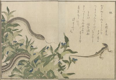 Kígyó és gyík, 1788 (színes fatömbnyomat) alkotó: Kitagawa Utamaro