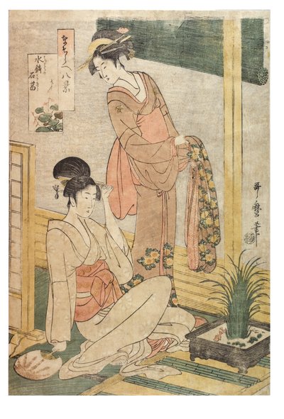 Édeszászló és sziklák a vízmedencében az Imitations of the Eight Views sorozatból, 1797-1798 körül (fatömbnyomat papíron) alkotó: Kitagawa Utamaro