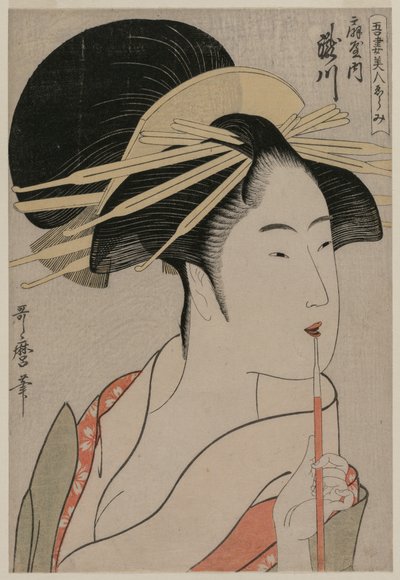 Az ogijai Takigawa udvarhölgye a Válogatás a gyönyörű nőkből... sorozatból, c. 1798. alkotó: Kitagawa Utamaro