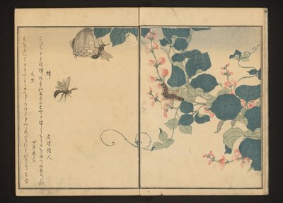 Darazsak és szőrös hernyó a nyílgyökéren alkotó: Kitagawa Utamaro
