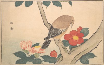 Kaméliák madárral, 1789. alkotó: Kitao Masayoshi