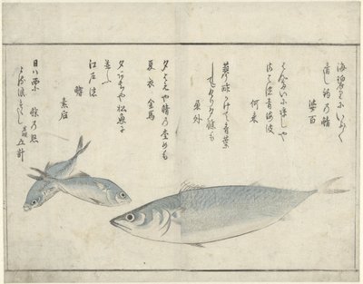 Három hal alkotó: Kitao Masayoshi