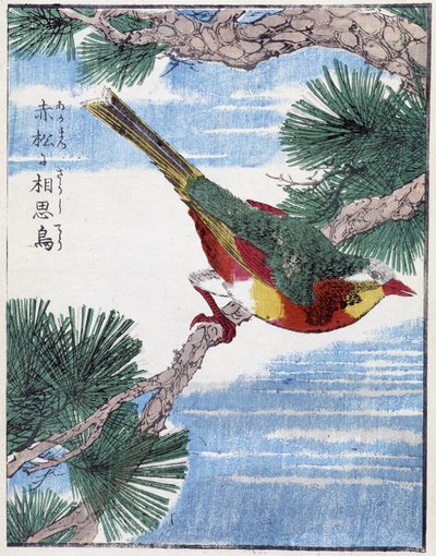 Madár a fán. Kitao Kosuisai japán rajza alkotó: Kitao Shigemasa