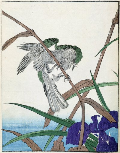 Madár a fán. Kitao Kosuisai japán rajza alkotó: Kitao Shigemasa