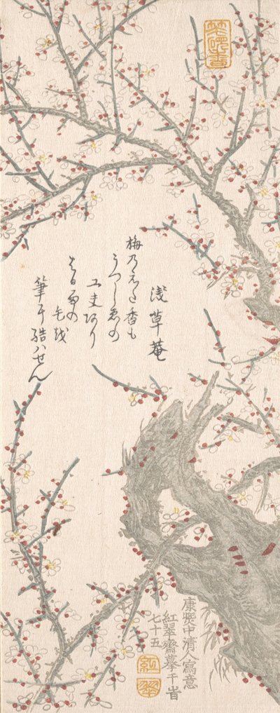 Virágzó szilvafa, 1813. alkotó: Kitao Shigemasa