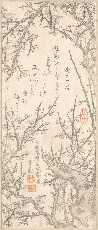 Virágzó szilvafa, 1813. alkotó: Kitao Shigemasa