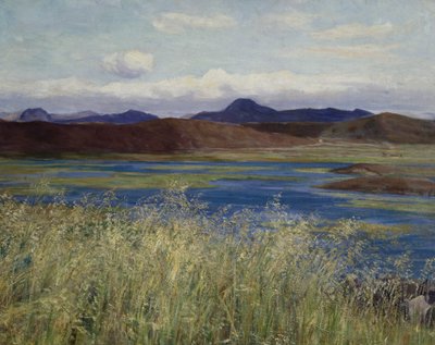 Jær táj (Jæren tájkép) (olaj, vászon) alkotó: Kitty Lange Kielland