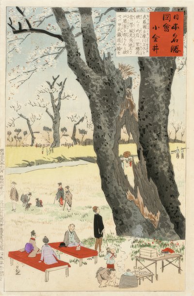 Koganei, cseresznyevirág alkotó: Kiyochika Kobayashi