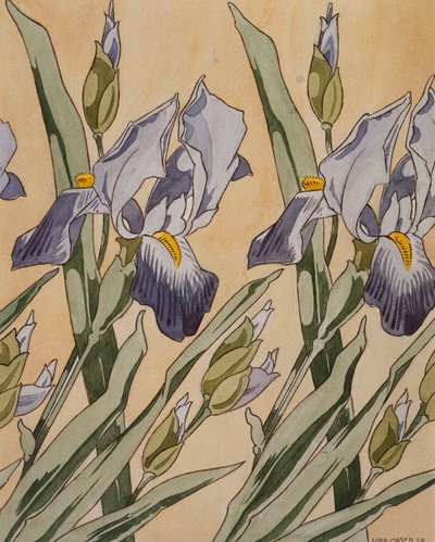 Írisz, 1898 alkotó: Koloman Moser