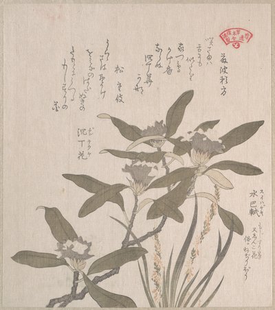  alkotó: Kubo Shunman