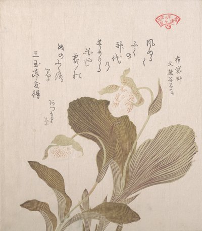 Hotei virágok, 19. század. alkotó: Kubo Shunman