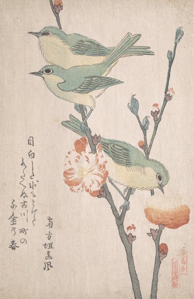 Japán fehér szemek egy barackfa ágán,..., kb. 1805-10. alkotó: Kubo Shunman