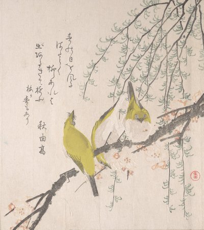 Japán fehérszemű szilvafával és fűzfával..., kb. 1810. alkotó: Kubo Shunman