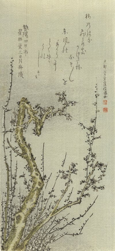 Öreg szilvafa, 1796. alkotó: Kubo Shunman