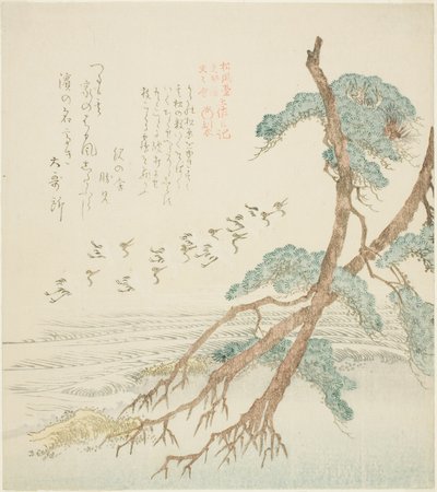 Pine Trees, a sorozatból "és a különbség ry a könyvgeneráció számára, Hisakataya, terv d fiókvállalat (Shofu generációs Hisakataya fiókvállalat és különbségi napló)" alkotó: Kubo Shunman