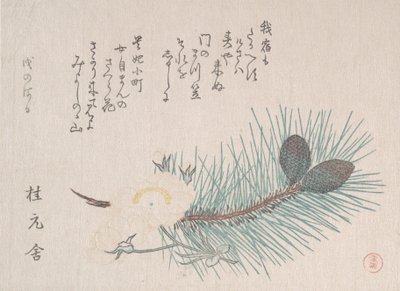 Fenyők és cseresznyevirágok, valószínűleg 1814. alkotó: Kubo Shunman