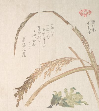 Rice Plant and Butter-Burs, 19. század. alkotó: Kubo Shunman
