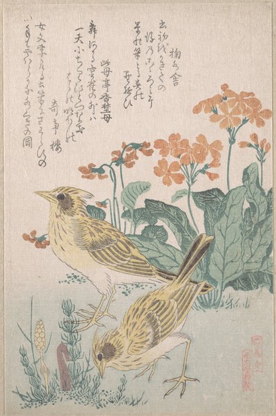 „Pacsirták és kankalinok” a „Madárcsoport” (Tori awase) sorozatból, a „Tavaszi eső” surimono-albumból (Harusame surimono-jō, 3. kötet) alkotó: Kubo Shunman