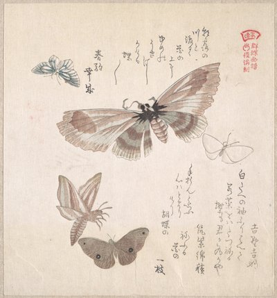  alkotó: Kubo Shunman