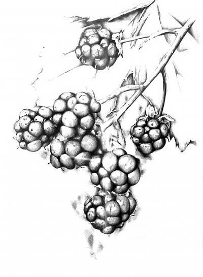  alkotó: Kulik