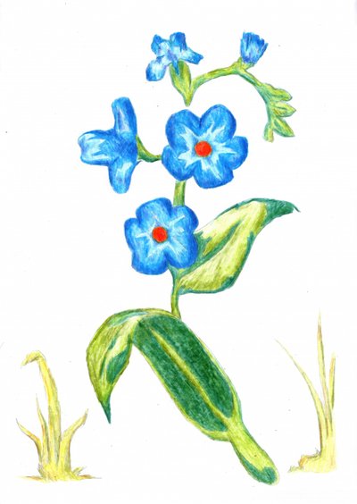  alkotó: Kulik